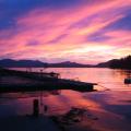 More Photo Contest Submissions 