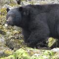 More Photo Contest Submissions 