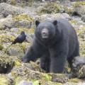 More Photo Contest Submissions 